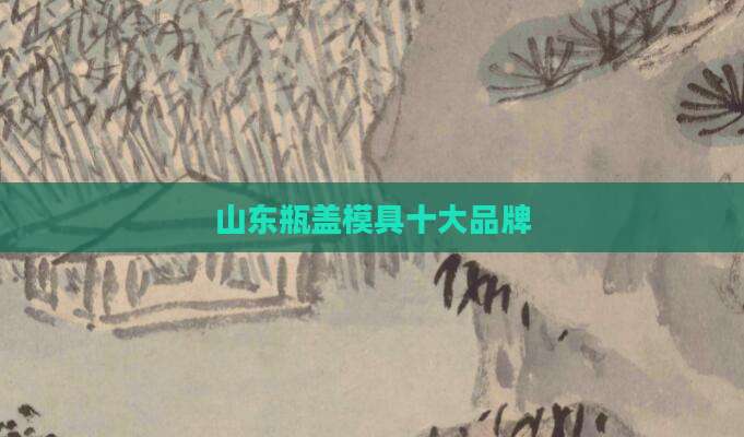 山东瓶盖模具十大品牌