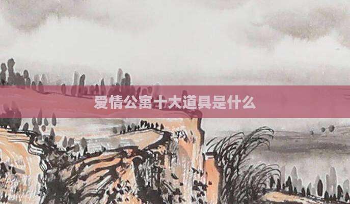 爱情公寓十大道具是什么