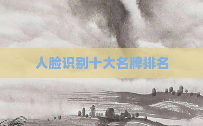 人脸识别十大名牌排名