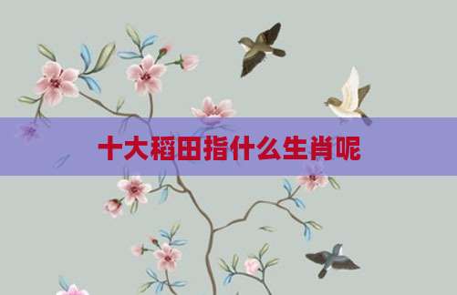 十大稻田指什么生肖呢