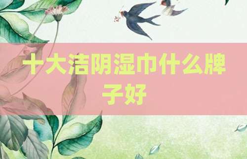 十大洁阴湿巾什么牌子好