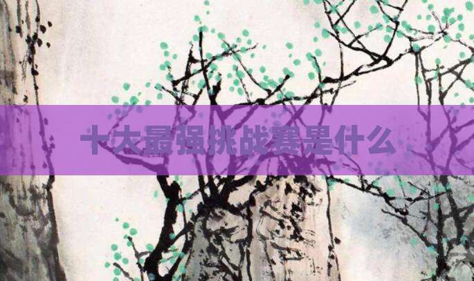 十大最强挑战赛是什么
