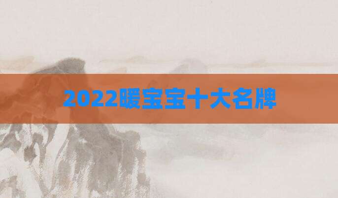 2022暖宝宝十大名牌