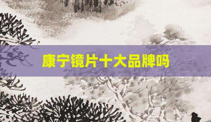 康宁镜片十大品牌吗