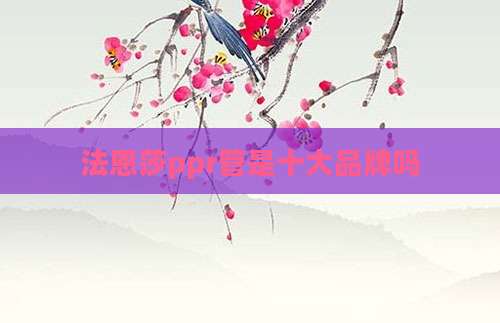 法恩莎ppr管是十大品牌吗