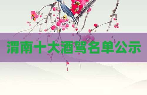渭南十大酒驾名单公示