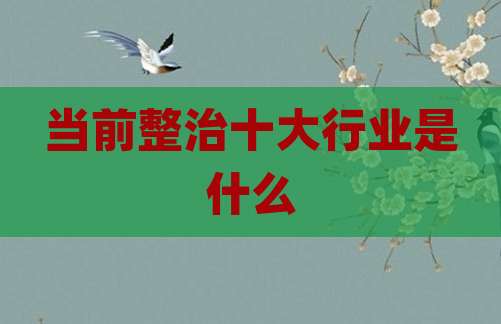当前整治十大行业是什么