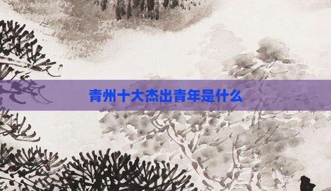 青州十大杰出青年是什么