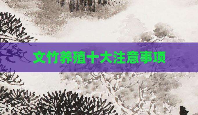 文竹养殖十大注意事项