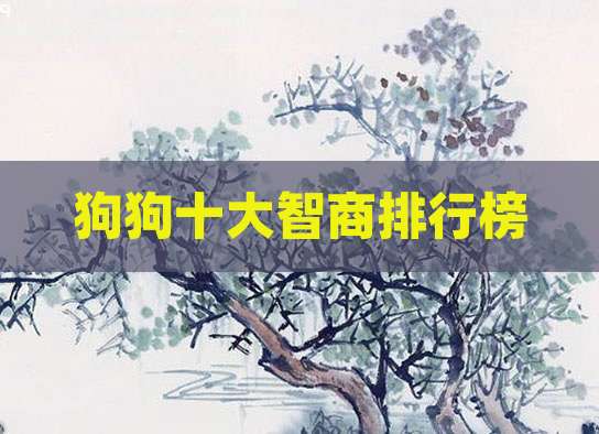 狗狗十大智商排行榜