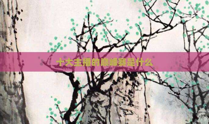 十大主播的巅峰赛是什么