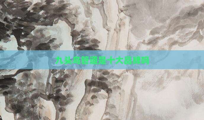 九头鸟管道是十大品牌吗