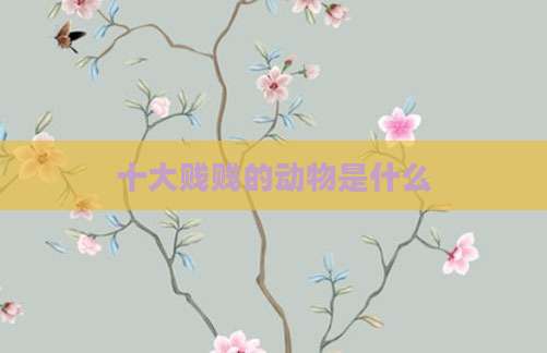 十大贱贱的动物是什么
