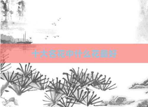 十大名花中什么花最好