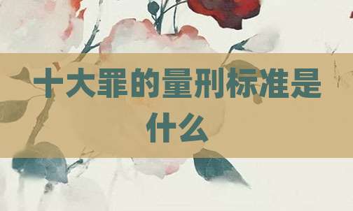 十大罪的量刑标准是什么