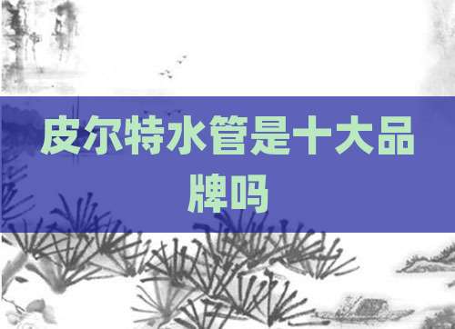 皮尔特水管是十大品牌吗