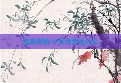 养泰狮的十大危害是什么