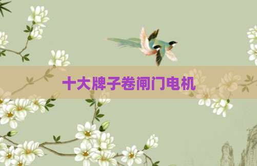 十大牌子卷闸门电机