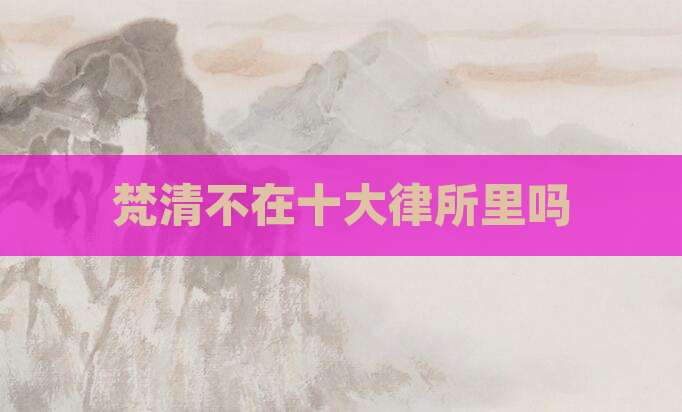 梵清不在十大律所里吗