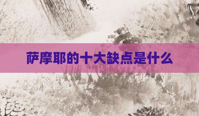 萨摩耶的十大缺点是什么