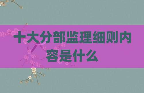 十大分部监理细则内容是什么
