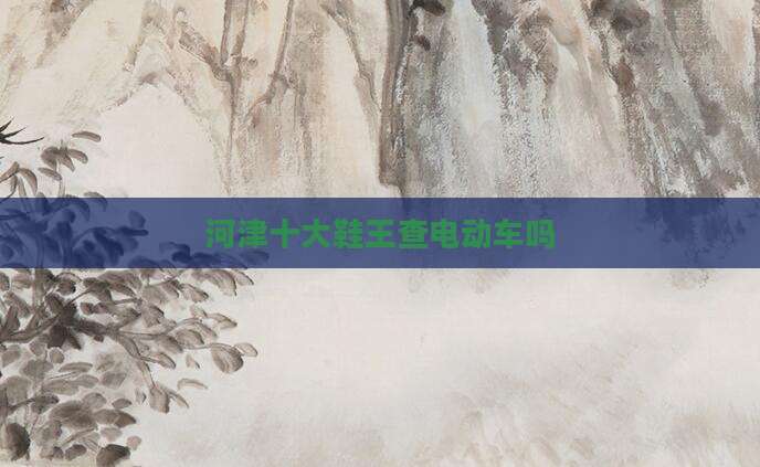 河津十大鞋王查电动车吗
