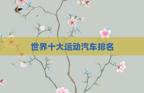 世界十大运动汽车排名