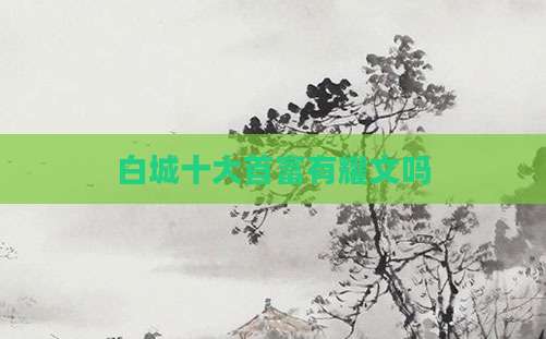 白城十大首富有耀文吗
