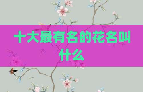 十大最有名的花名叫什么
