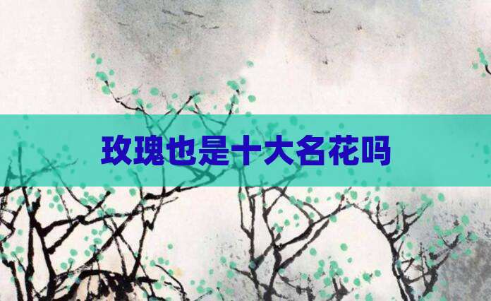 玫瑰也是十大名花吗