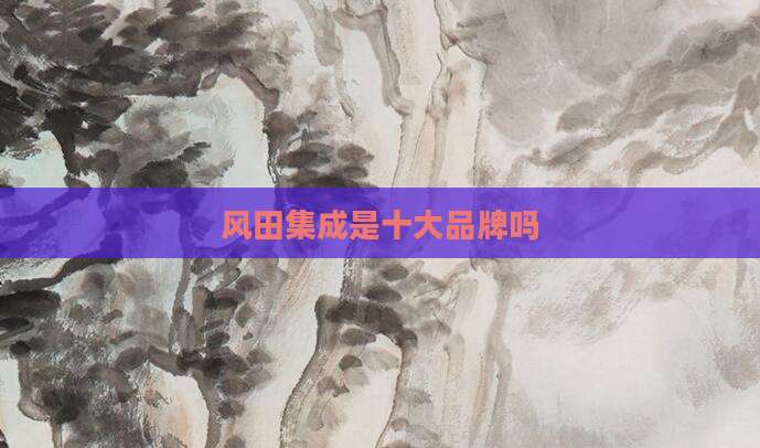 风田集成是十大品牌吗