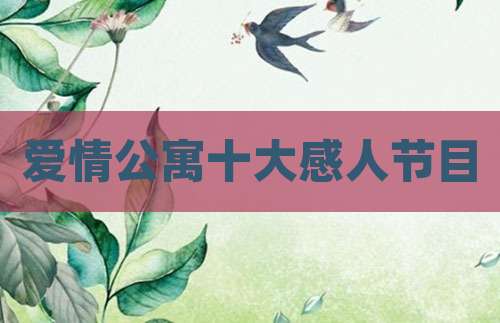 爱情公寓十大感人节目