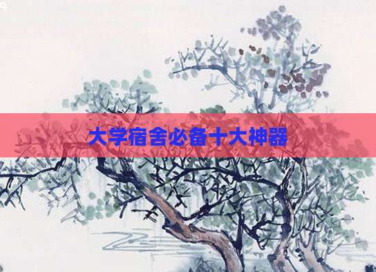 大学宿舍必备十大神器