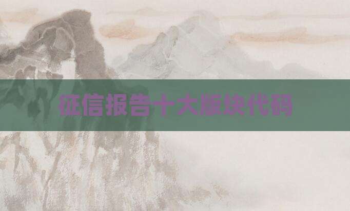 征信报告十大版块代码