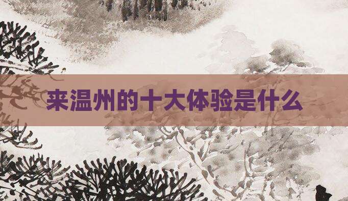 来温州的十大体验是什么
