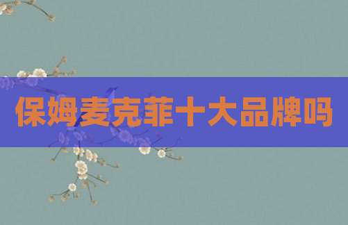 保姆麦克菲十大品牌吗