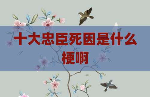 十大忠臣死因是什么梗啊