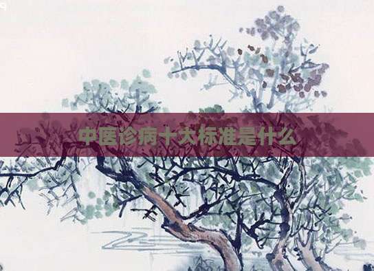 中医诊病十大标准是什么