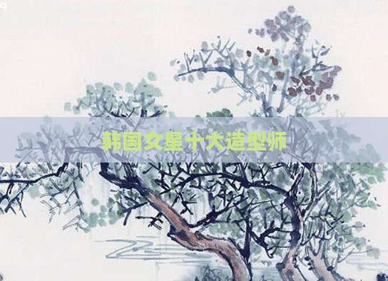 韩国女星十大造型师
