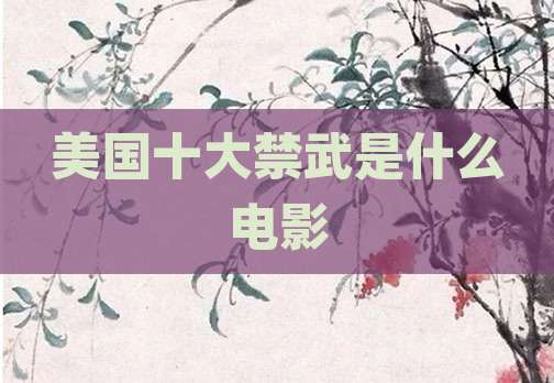 美国十大禁武是什么电影