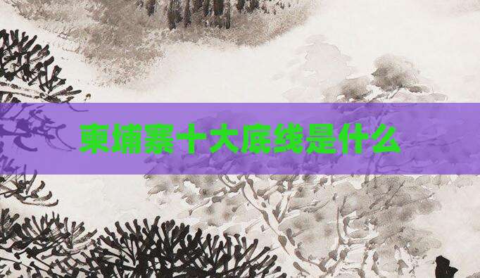 柬埔寨十大底线是什么