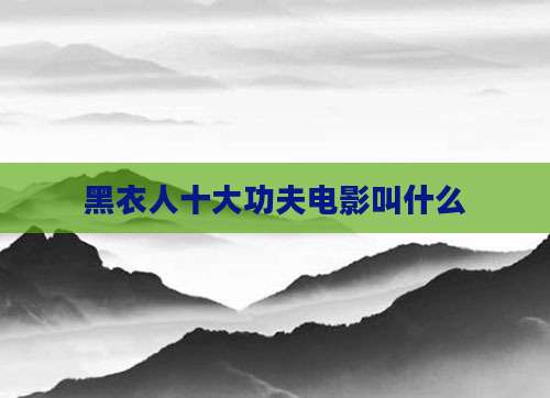 黑衣人十大功夫电影叫什么