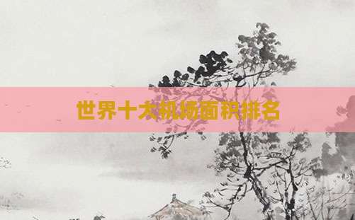 世界十大机场面积排名