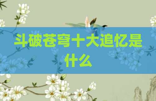 斗破苍穹十大追忆是什么