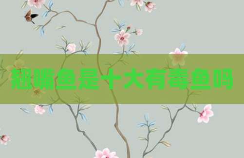 翘嘴鱼是十大有毒鱼吗