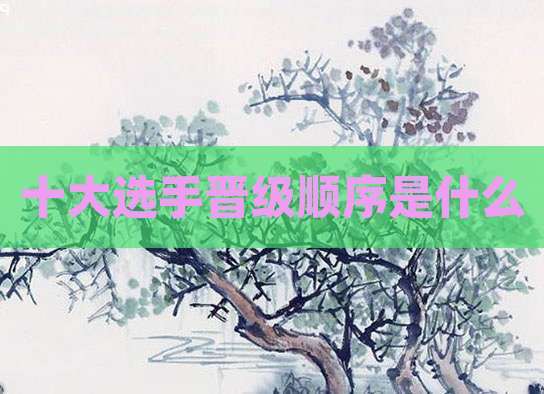 十大选手晋级顺序是什么