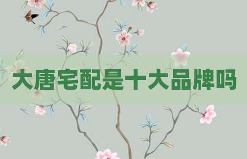 大唐宅配是十大品牌吗