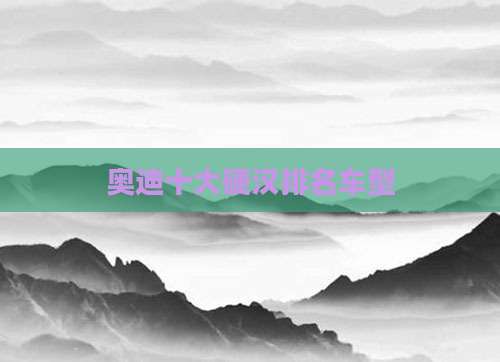 奥迪十大硬汉排名车型