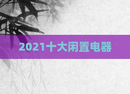 2021十大闲置电器