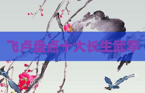 飞卢盘点十大长生武学